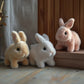 Interactive Bunny Rabbit with Touch Activation and Voice Response, Hopping and Ear Wiggling