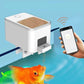 Smart Fish Feeder with App Control and Voice Commands
