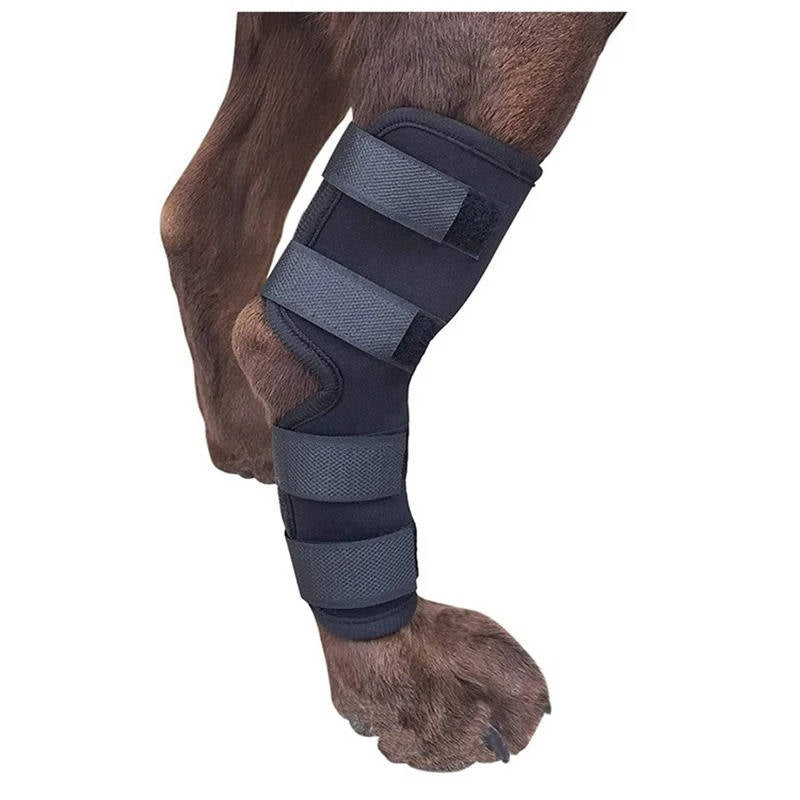Dog Ankle Support Brace with Neoprene Compression and Reflective Strips