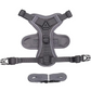 Vest Style Cat Harness with Reflective Strips and 1.5m Leash
