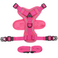 Vest Style Cat Harness with Reflective Strips and 1.5m Leash