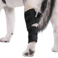 Dog Ankle Support Brace with Neoprene Compression and Reflective Strips
