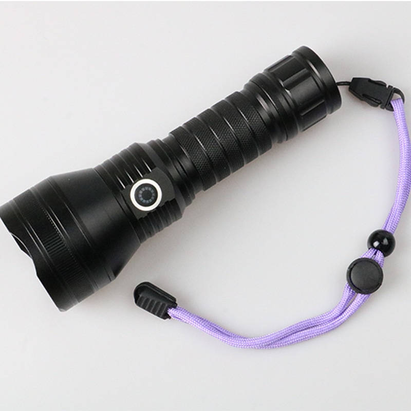 Blacklight for Cat Urine, UV Flashlight Pet Urine Detector for Dog Stains, Carpet and Furniture Inspection
