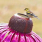 Bird Feeder with Coneflower Design and Weather-Resistant Metal Build, Hanging Hook