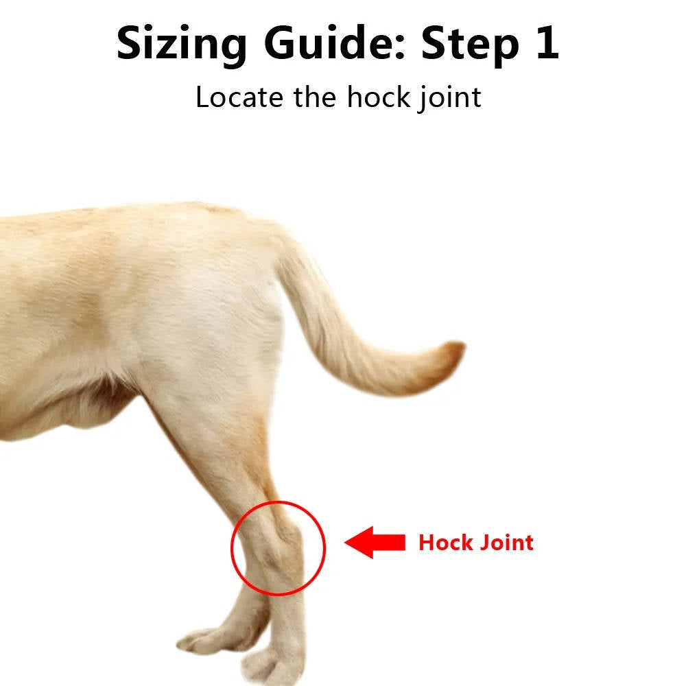 Dog Ankle Support Brace with Neoprene Compression and Reflective Strips