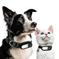 Wireless Tracking Camera Dog & Cat Collar, HD Pet Camera with Real Time Recording