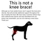 Dog Ankle Support Brace with Neoprene Compression and Reflective Strips