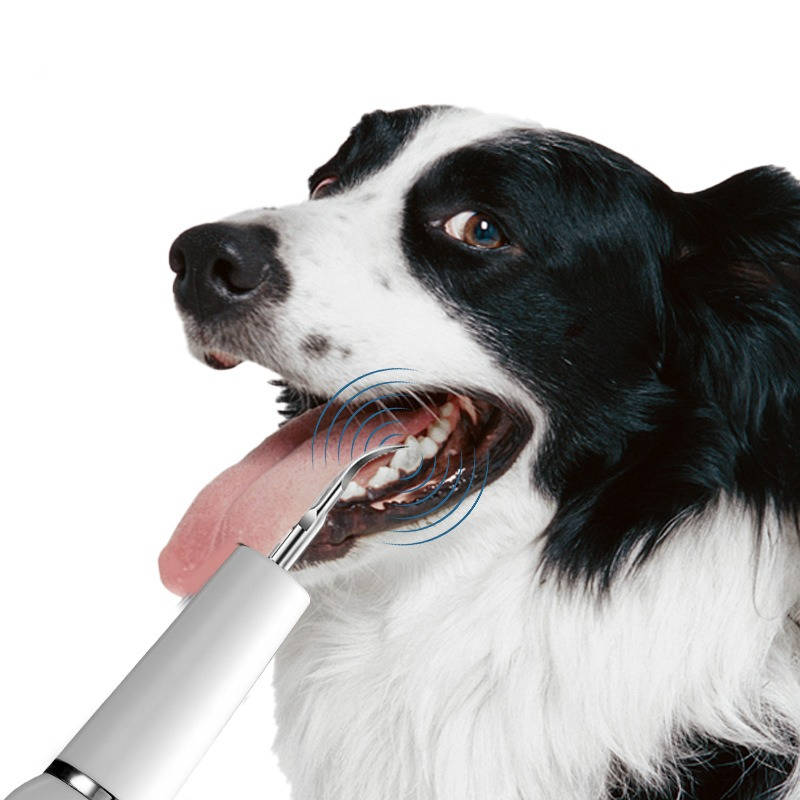 Rechargeable Dog Dental Cleaning Tool with LED Light and Gum Sensor