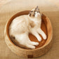 Hand-woven rattan cat bed with integrated scratching post. Natural, durable pet furniture for comfort & play.