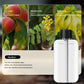 Essential Oil Diffuser with Digital Display and Wall Mounting, 5 Spray Modes