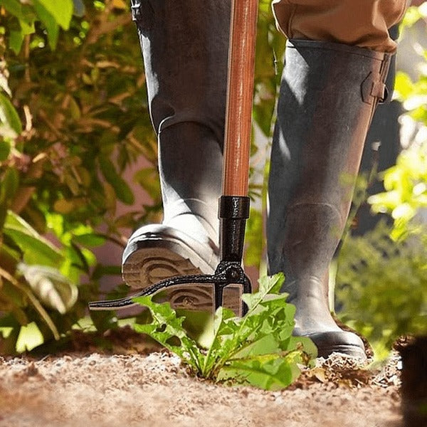 Four Claw Weed Puller with Detachable Head and Ergonomic Grip for Standing Operation