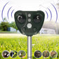 Solar Ultrasonic Bird Repeller with USB Backup and Adjustable Modes, 110 Degree Coverage
