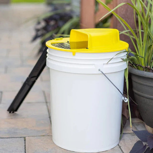 Humane Mouse Trap with Automatic Reset and High-Capacity Capture for 5-Gallon Bucket