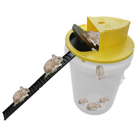 Humane Mouse Trap with Automatic Reset and High-Capacity Capture for 5-Gallon Bucket