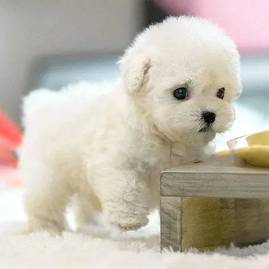 Lifelike Interactive Robotic Puppy Toy