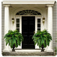 Artificial Boston Fern with UV-Resistant Leaves and 18 Full Fronds, Washable Stems