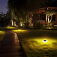 Solar Pathway Lights Set of 4 with Automatic Dusk-to-Dawn Sensor and Dual Color Options