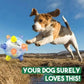 Interactive Jumping Activation Ball for Dogs – Automatic Movement Toy