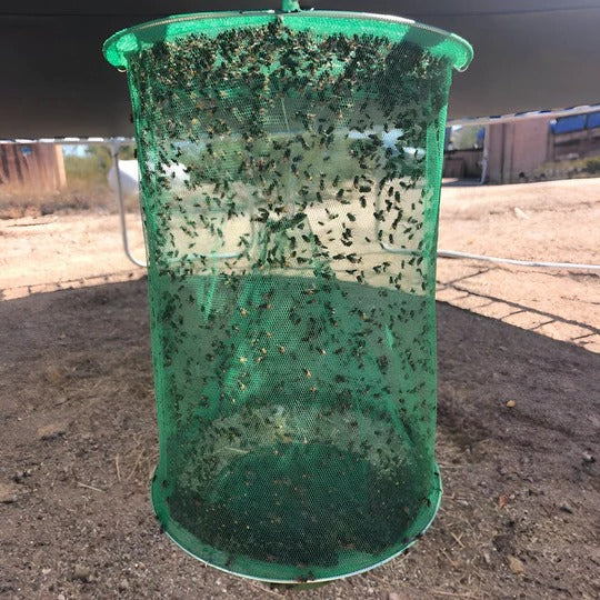 Outdoor Hanging Stable Fly Trap System