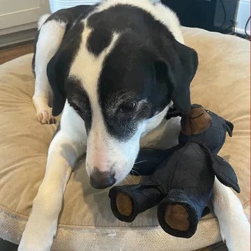 Indestructible Interactive Bear Toy for Heavy Chewers