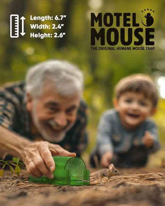 Four-Piece Mouse Trap Set for Indoor and Outdoor Use