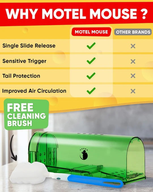 Four-Piece Mouse Trap Set for Indoor and Outdoor Use