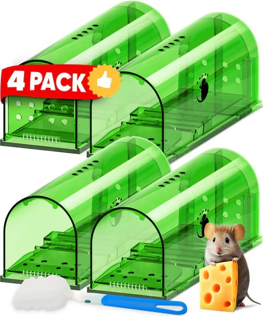Four-Piece Mouse Trap Set for Indoor and Outdoor Use