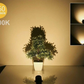 10Pcs LED Low Voltage 12V 5W Landscape Light 3000K Garden Outdoor Spotlight IP65 allveramart