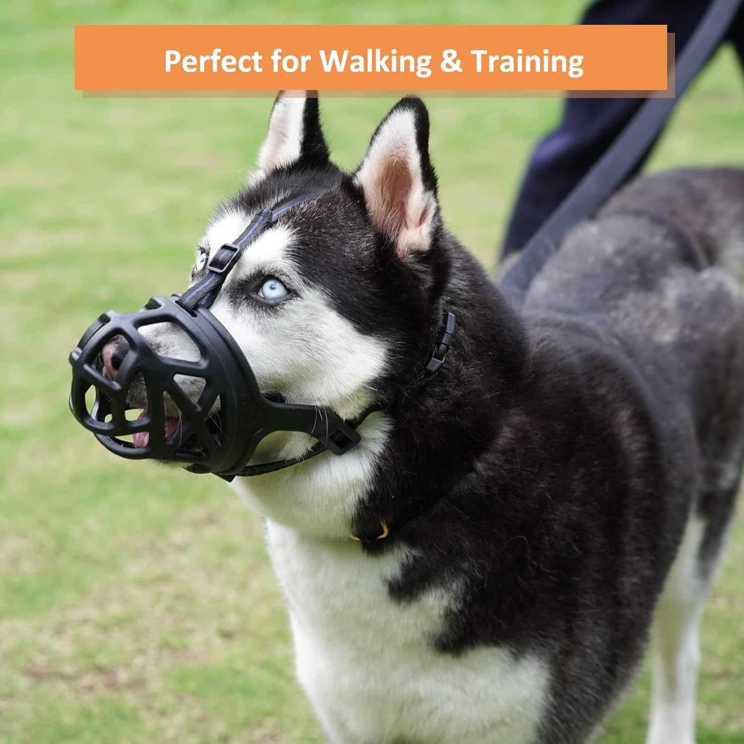 Dog Muzzle, Basket Muzzle for Biting, Chewing and Scavenging, Humane Cage Mouth Cover, Perfect for Grooming and Training Medium Aggressive Reactive Dogs (M, Black) allveramart