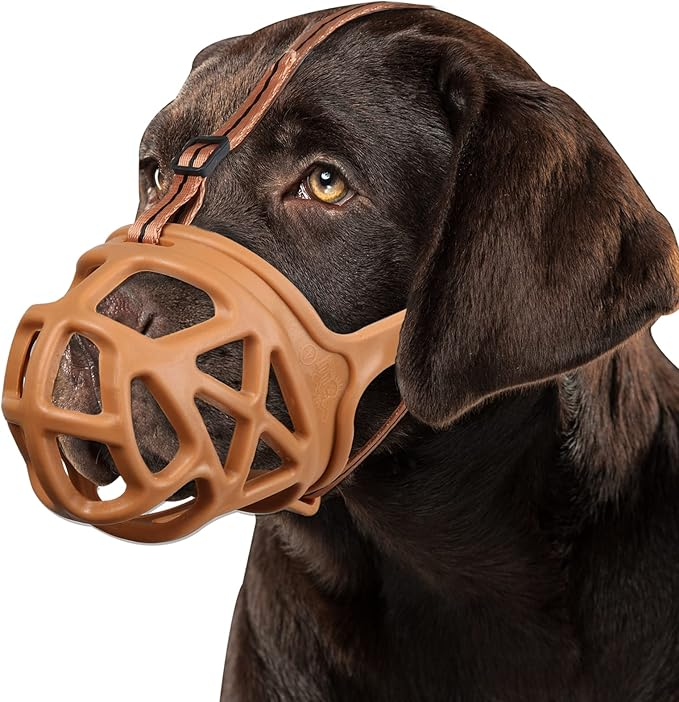 Dog Muzzle, Basket Muzzle for Biting, Chewing and Scavenging, Humane Cage Mouth Cover, Perfect for Grooming and Training Medium Aggressive Reactive Dogs (M, Black) allveramart
