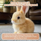 Interactive Plush Bunny with Voice Activation and Touch Response