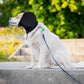 Noise Reducing Dog Ear Muffs with Adjustable Pull Rope and Fleece Hood, Machine Washable