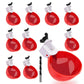 Premium 10 Pcs Chicken Waterer, High Quality Farm Supply Kit
