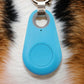 Bluetooth Pet Tracker with Real-Time Location and Proximity Alerts, 6-Month Battery