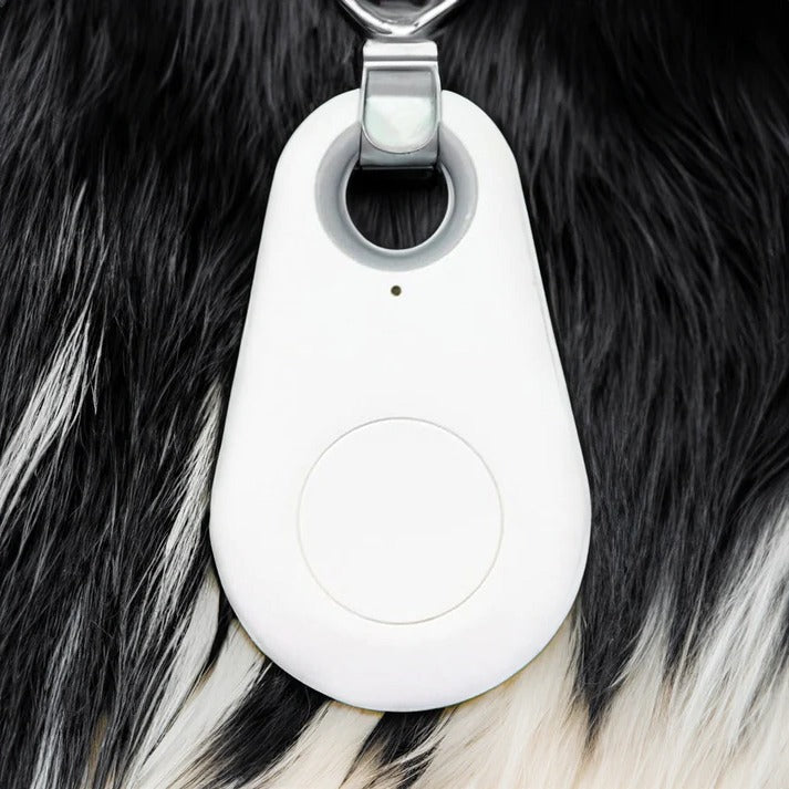 Bluetooth Pet Tracker with Real-Time Location and Proximity Alerts, 6-Month Battery