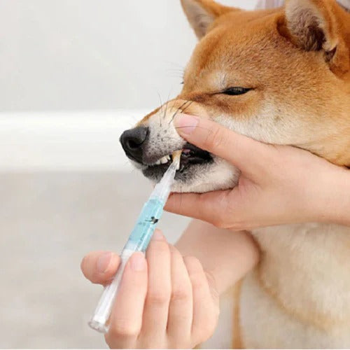 Pet Oral Care Solution for Supporting Teeth Cleanliness and Gum Maintenance