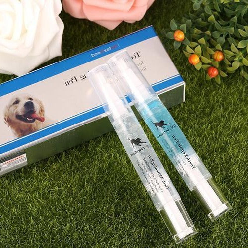 Pet Oral Care Solution for Supporting Teeth Cleanliness and Gum Maintenance
