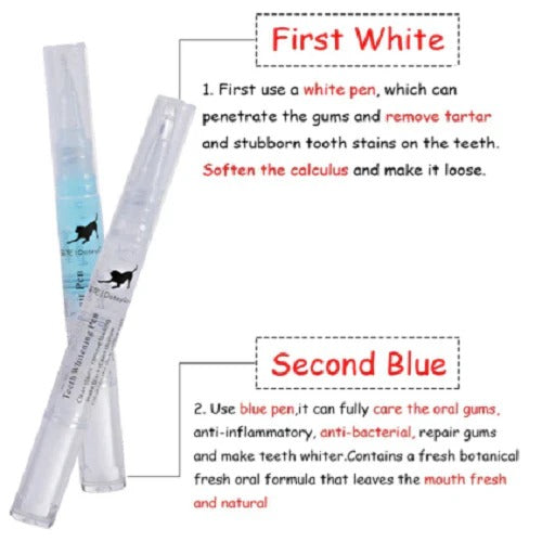 Pet Oral Care Solution for Supporting Teeth Cleanliness and Gum Maintenance