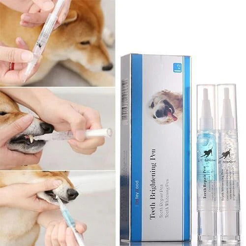 Pet Oral Care Solution for Supporting Teeth Cleanliness and Gum Maintenance