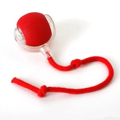 Active Motion-Activated Rolling Ball Toy with Tail Attachment