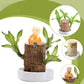 Low Maintenance Indoor Plant with Air Purification and Low Light Tolerance
