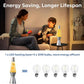 Decorative LED Lava Motion Lamp for Indoor Ambient Lighting