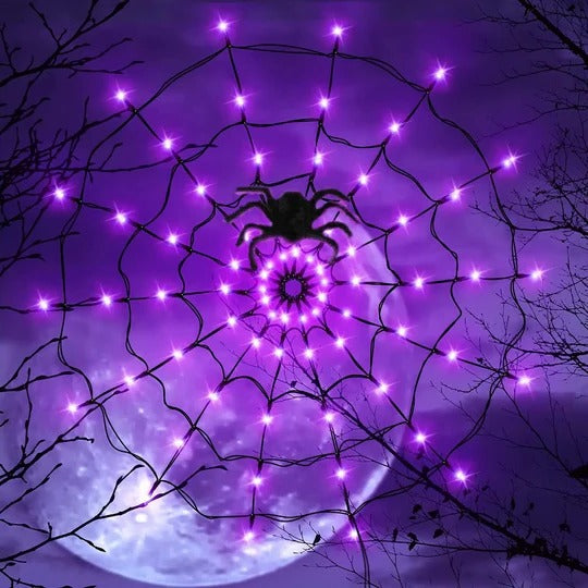 Halloween Spider Web Lights for Outdoor and Indoor Decorative Display