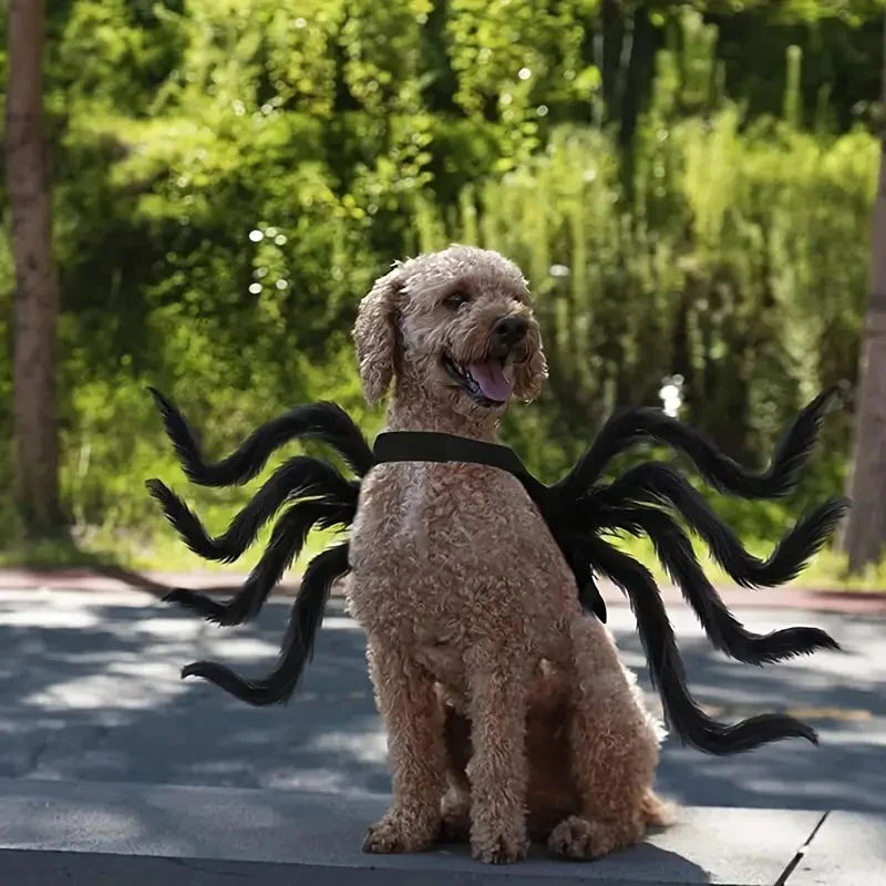 Spider Costume for Pets with Eight Faux Legs and Adjustable Straps, Soft Breathable Fabric