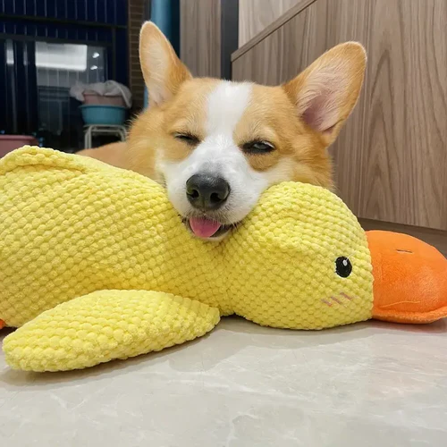 Duck Plush Dog Toy with Low-Frequency Quack and Reinforced Seams, Soft Polyester