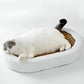 Cat Scratch Lounge Bed with Cushioned Sleeping Area and Textured Surface