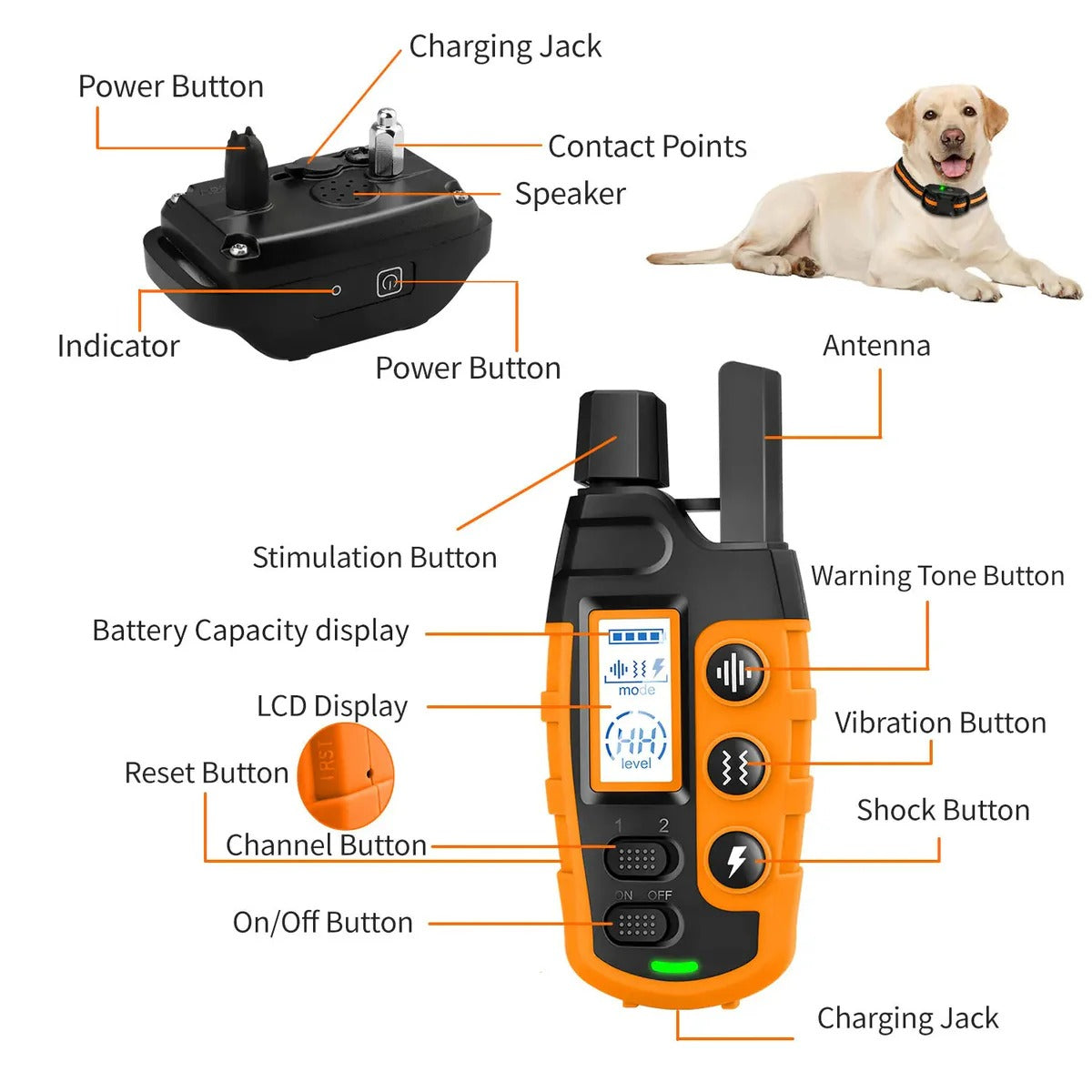 Waterproof Dog Training Collar with 3300ft Remote Range and Three Training Modes