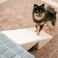 Convertible Dog Ramp with Padded Steps and Suction Cup Base for Beds and Couches