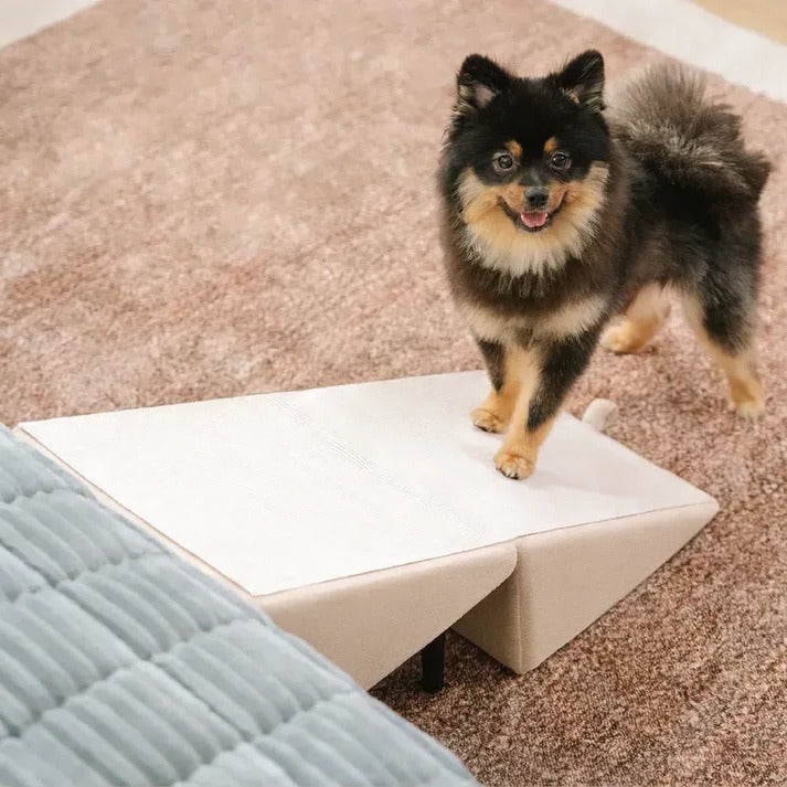Convertible Dog Ramp with Padded Steps and Suction Cup Base for Beds and Couches