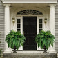 UV-Resistant Artificial Boston Fern for Indoor and Outdoor Display